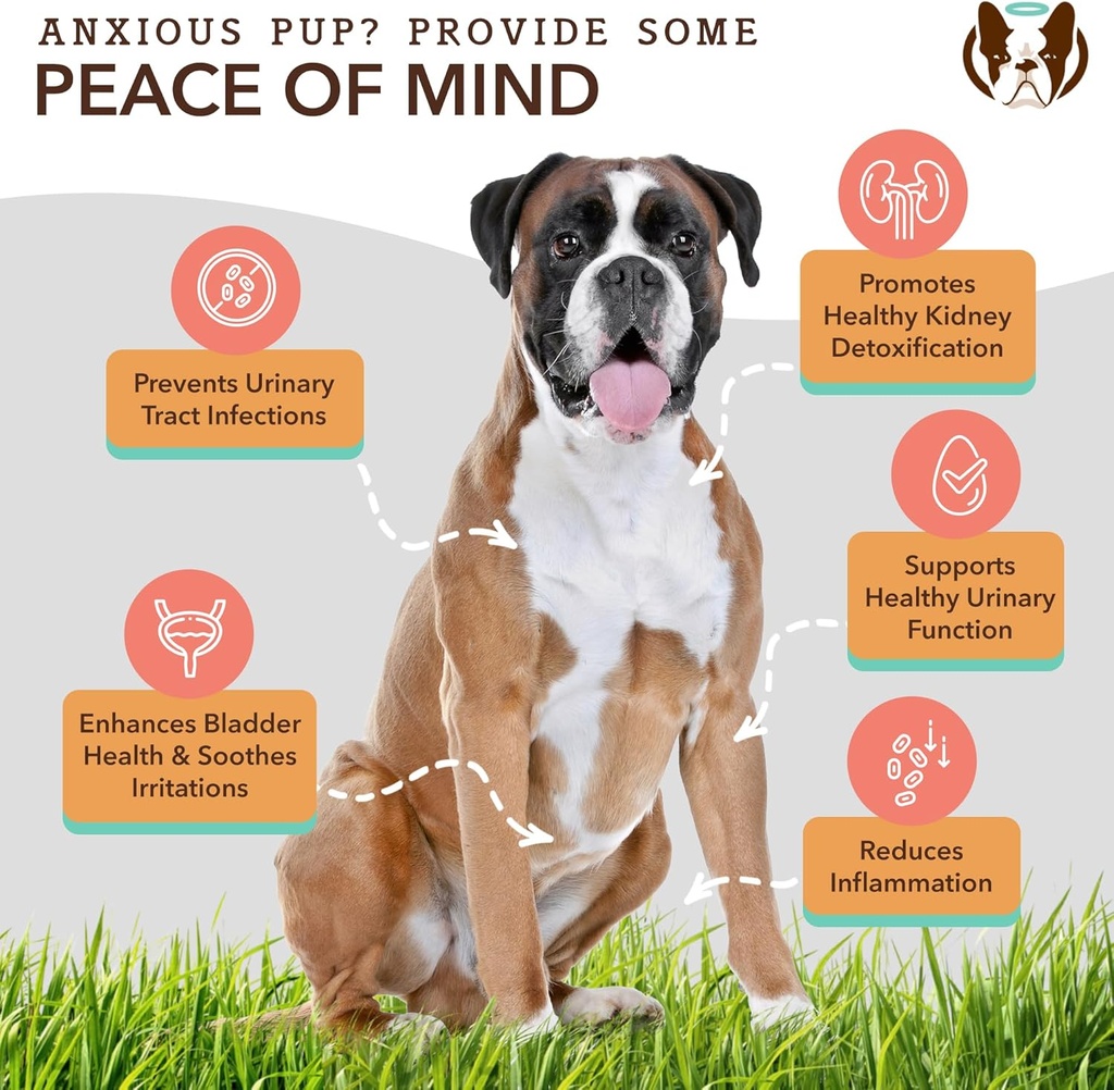 natural-dog-company-urinary-and-multivit-5.jpg