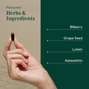 gaia-herbs-pro-stress-strain---eye-healt-4.jpg
