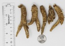 dol-hand-selected-american-wisconsin-far-3.jpg