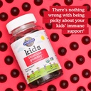 garden-of-life-organics-kids-gummy-vitam-6.jpg