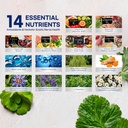 sciatic-nerve-relief-supplement-advanced-4.jpg