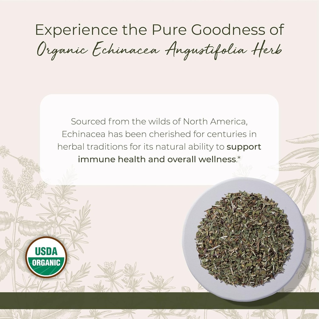 starwest-botanicals-dried-echinacea-angu-2.jpg