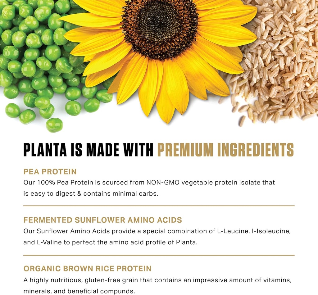 ambrosia-planta---premium-plant-based-pr-6.jpg