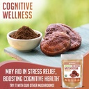 xprs-nutra-mushroom-bundle---lions-mane--3.jpg