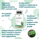 nature-restore-rosemary-extract-suppleme-4.jpg
