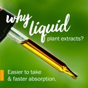 herb-pharm-certified-organic-cilantro-li-4.jpg