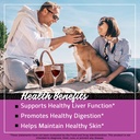 farmhaven-usda-organic-milk-thistle-caps-4.jpg