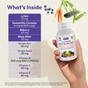 andrew-lessman-ultimate-eye-support-30-s-3.jpg