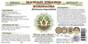 hawaii-pharm-echinacea-alcohol-free-liqu-2.jpg