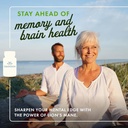 swanson-full-spectrum-lions-mane-mushroo-2.jpg