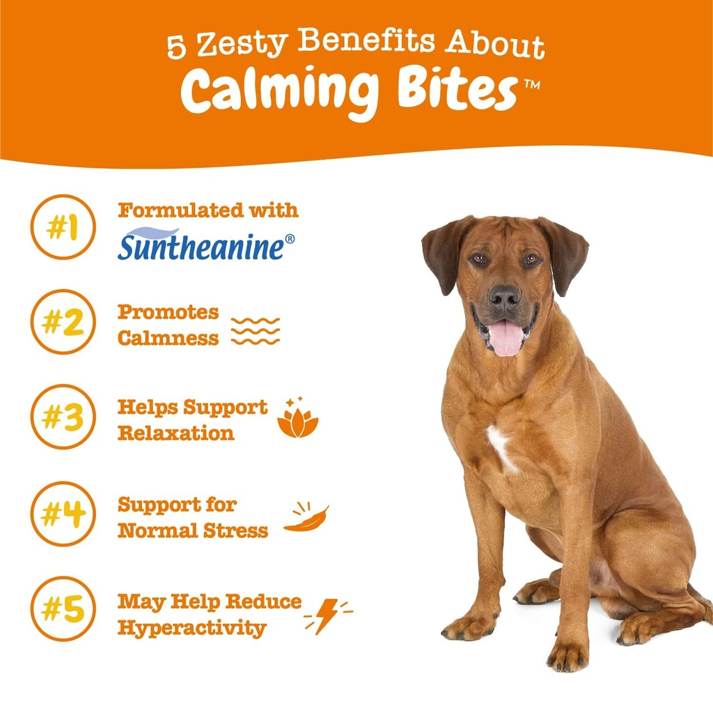 zesty-paws-calming-chews-for-dogs-10-in--2.jpg