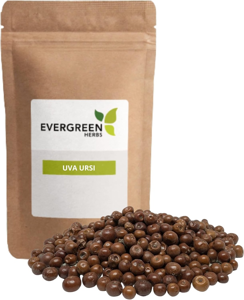 Evergreen Herbs Pinguica Fruto - Uva Ursi Fruit (8 oz.) - Stealable Stand Up Pouch to Ensure Freshness!