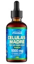 Celulas Madres Sel Stem, Plant-Based, Adaptogen Blend, Cordyceps, Rhodiola Rosea, Afa, Astragalus, Kompleks B, Reishi, Ganoderma, Blue- Green Algae, Spirulina, 100mg Ingreasi Kunci Alam.