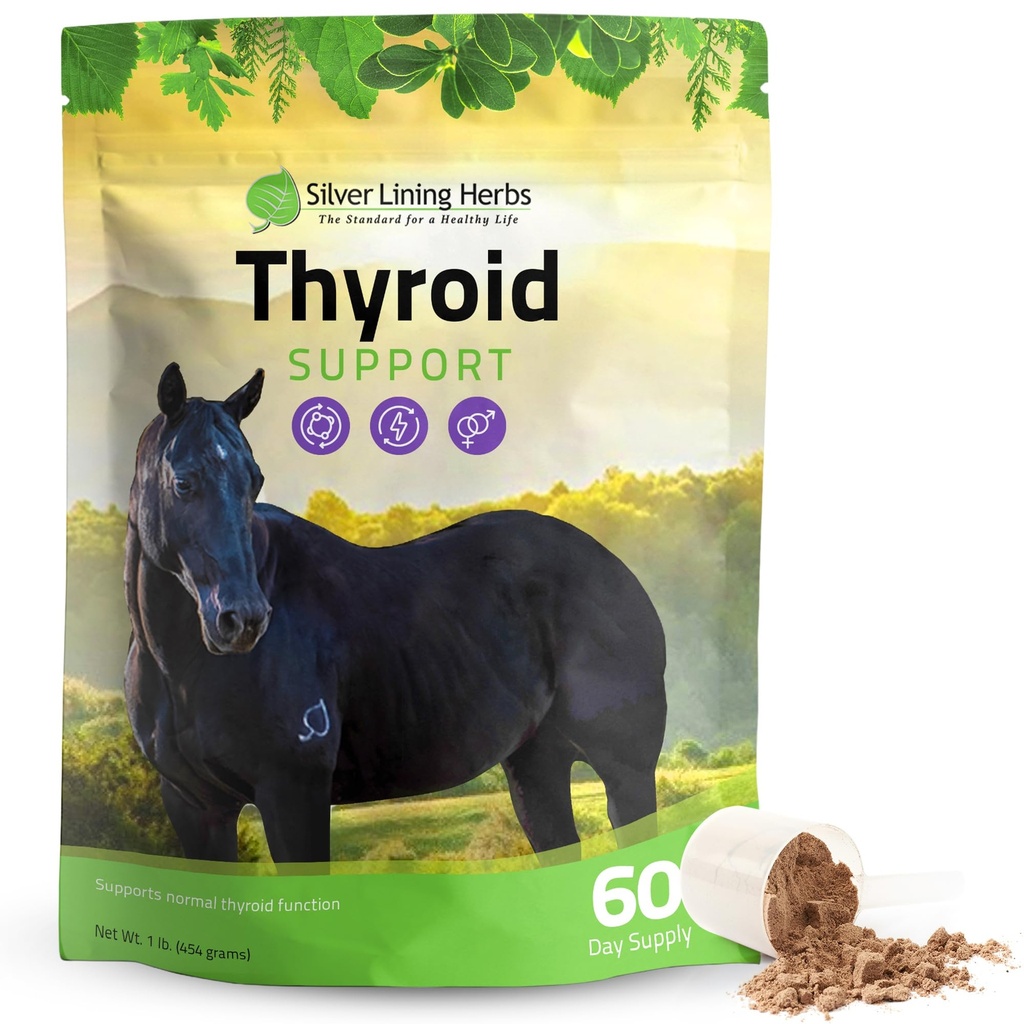 Silver Lining Herbs Thyroid Dukungan untuk Kuda - Herbal Horse Tambahan untuk Fungsi Normal Thyroid, Hormone Keseimbangan & Healthy Metabolisme dengan Irlandia Moss, Kelp, Parsley - Persediaan Hari 120