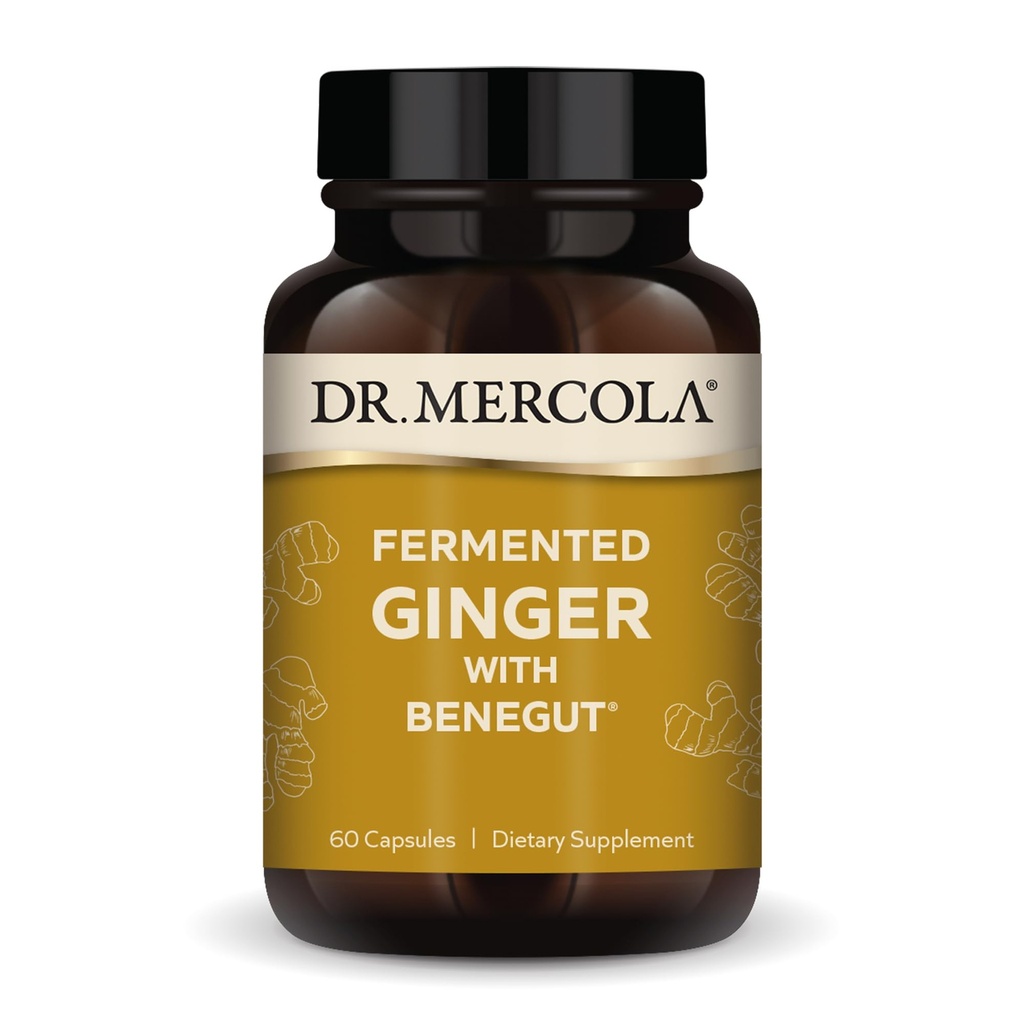 Dr. Mercola Fermented Ginger dengan Benegut - Mendukung Kesehatan Digetical & Gut - Aids Occasional Gas, Bloating & Discomfort - Non-GMO, Gluten- Free & Soy-