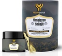 Himalaya Shilajit Resin, 124; Potency Tinggi Shilajit untuk Pria & Perempuan - 85 + Trace Minements, 75% + Fulvic Acid Energy Boost, Imune Dukung, 75 Serving Organic Resin dengan Laporan Uji Lab, 400mg