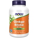 Sekarang Makanan Suplemen, Ginkgo Biloba 60 mg, 24% Ekstrak Standardisasi, Proyek Non-GMO Diverifikasi, 240 Veg Capsules