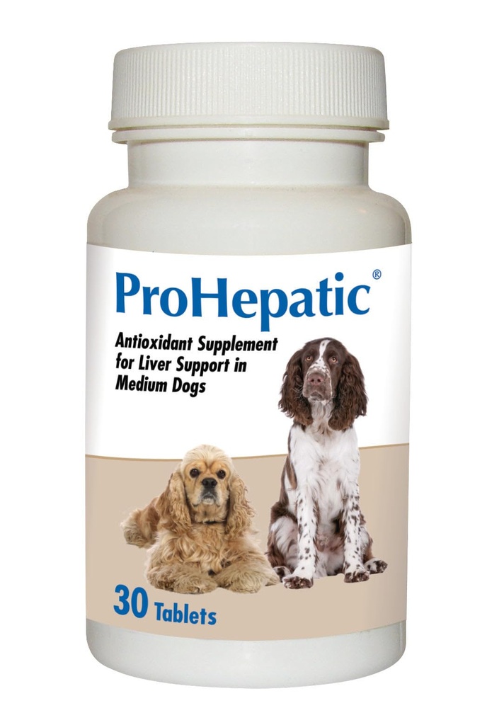 Tambahan Dukungan Hati Prohepatik untuk Anjing Medium Large (30 Tablet)