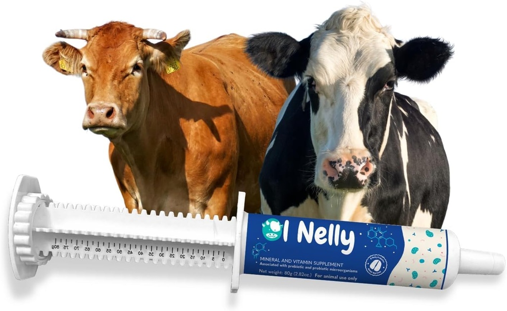 Ruminants Pra dan Probiotic Tempel (80g) - Pra dan Propines dengan Vitamin dan Minerals- 6 Strain dan 8 Milyar CFUL- Imune dan Dukungan Kesehatan Gastro untuk Semua Ruminants: Bovines, Goats & More
