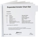 Bagan Grid Amsler Set, Diperluas