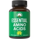 Semua 9 Escalypse Amino Accids Suplemen. Kapsul dengan 3X More Leucine untuk Pemulihan Otot, Pertumbuhan. Tambahan EAA Lebih baik daripada BCAA / BCAAS Branched Chain Acid Aminos. USA Tested EAA for Men + Women