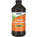 Sekarang suplemen Makanan, Cair Chlorophyll, Super konsentrasi, Deodorizer internal *, Energi Boost, Mint Flavor, 16- Ounce