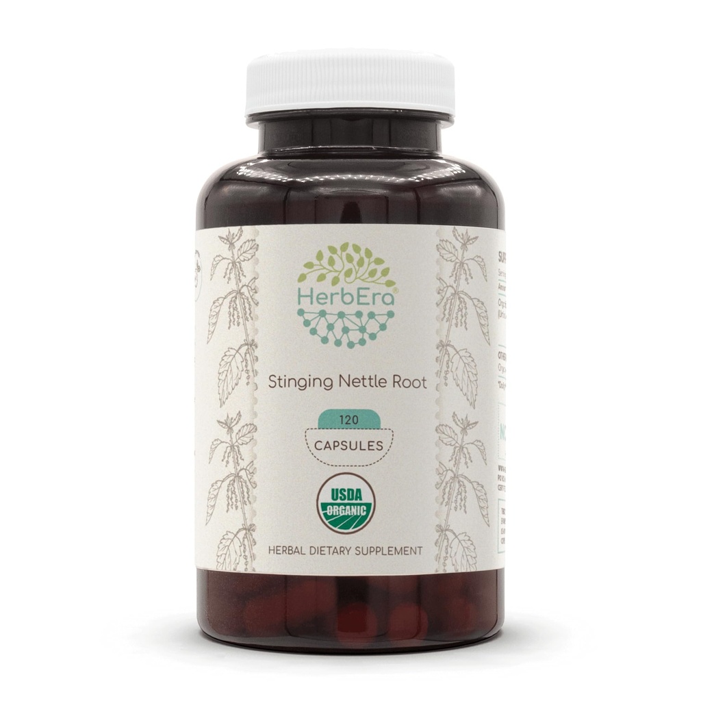 HerbEra Stinging Nettle Root USDA Organik 120 Capsules 124; Natural Herbal Suplemen 124; Certified Organic Vegetarian Capsules dan Organik Stanging Nettle (Urtica Dioica) Root Kering (120 Capsules)