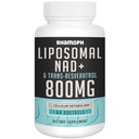 Lipomal NAD + 800 mg dengan Trans- Resveratrol 300 mg, Max Absorpsi, Atual NAD + Tambahan Boosting untuk Penuaan Sehat, Energi Sel, Pemulihan DNA, Umur Panjang - 60 Softgels