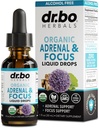 Tambahan Dukungan Adrenal Liquid Drops - Organik Adrenal dan Suplemen Fokus, Cortisol Manajer Adaptogen Dewasa, Ginkgo Biloba untuk Anak Tenang - Otak dan Pikiran Alam dan Penghayatan Ingatan Perhatian 1oz