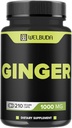 1000mg Ginger Supplemen Capsules dengan Berberine HCI, Elderberry, Echinacea & More - 11in1 Dukung Divalry, Gabungan Kesehatan, Imune System, dan Heart Health - 210 Ginger pil