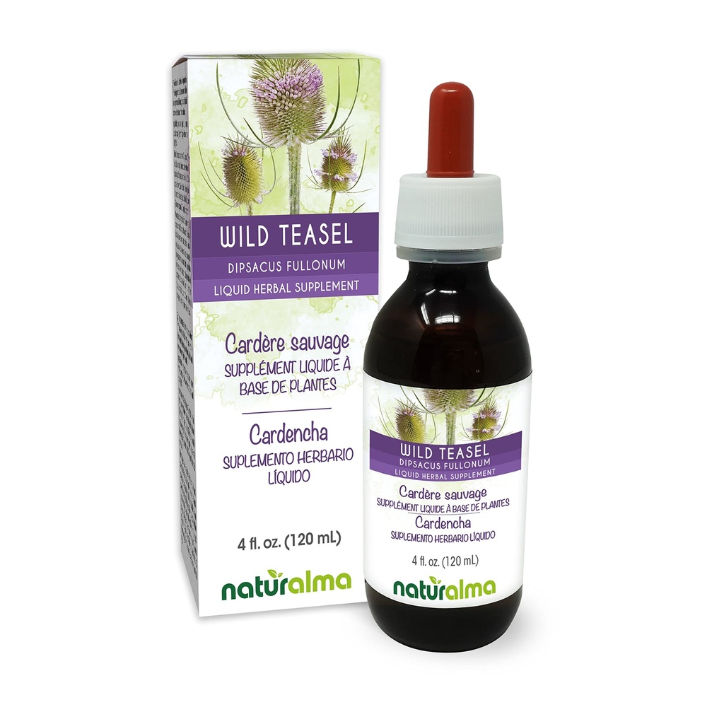 Natualma Wild Teasel atau Fuller Teasel (Dipsacus fullonum atau D. Sylvestris) Root Alcohol- Free Tincture - 4 fl oz Liquid Extract in Drops - Herbal Supplemen - Vegan