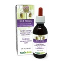 Natualma Wild Teasel atau Fuller Teasel (Dipsacus fullonum atau D. Sylvestris) Root Alcohol- Free Tincture - 4 fl oz Liquid Extract in Drops - Herbal Supplemen - Vegan