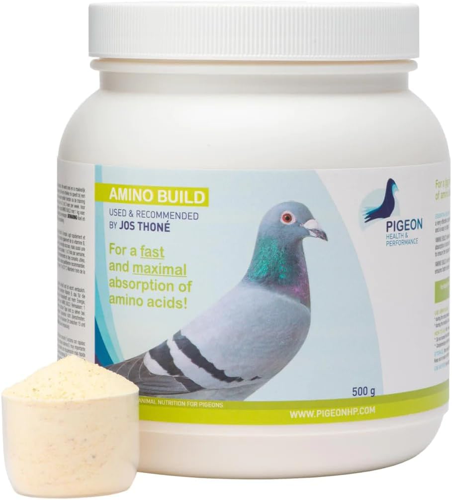 PHP Generik Amino Build 500g - Muscle- Building Amino Acids Pigeon Health & Performance