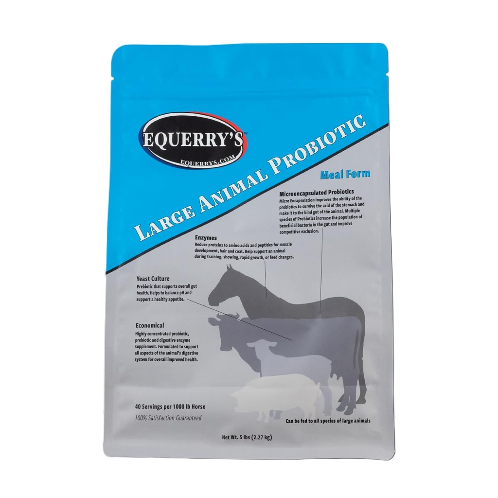 Equerry 's Large Animal Probiotic 144; Suplemen Kesehatan Gut dan Absorpsi Nutrient 124; Progories dan enzim Digetical untuk Kuda, Sapi, Goats, Domba, Babi, 40 Feedings (5 pon) untuk Hewan LB