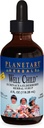 Planetary Herbals Echinace- Elderberry Syrup, 4 fl oz (128.28 ml)