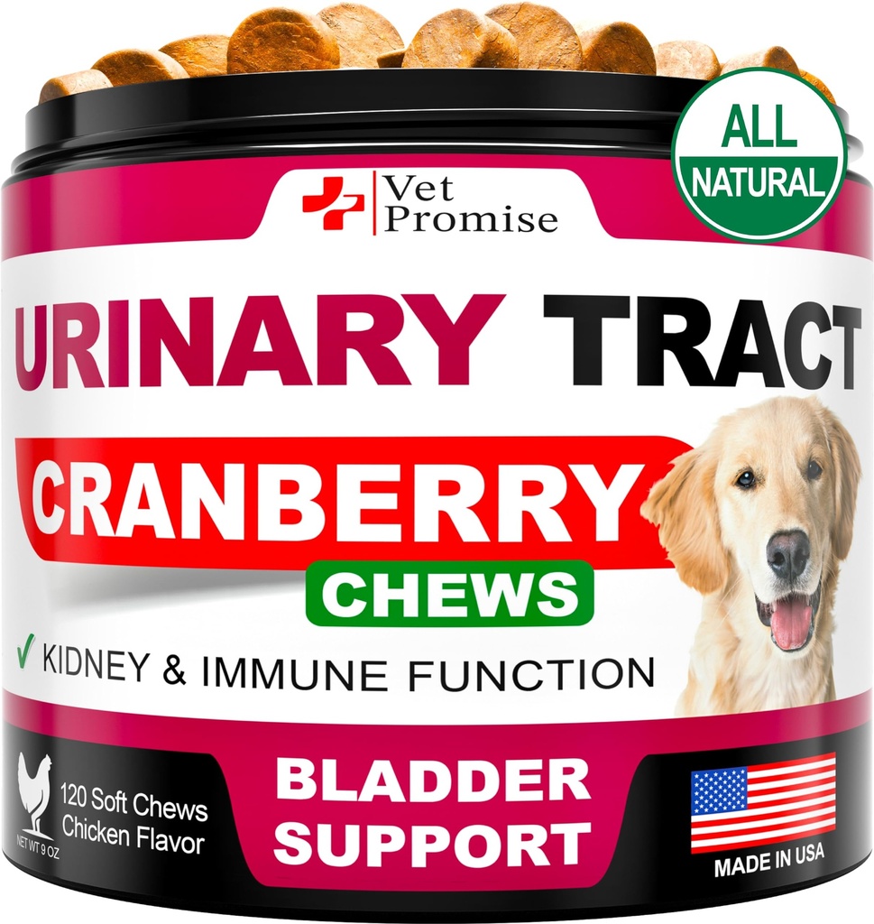 Pengobatan Anjing UTI - Tambahan Cranberry untuk Anjing UTI - Kontrol kandung kemih