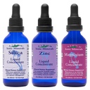 Eidon Ionic Mineral Liquid Silica, Zinc, & Magnesium Drops Variety Pack - Silica, Zinc, & Magnesium Suplemen, All- Natural Trace Minemency, No Preservations atau Addlicity - 2, Paket 3