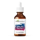Herbal Good Bitter But No Crap Liquid Supplement for Body Cleanse, Energy Energy and Health Boost 124; None-GMO Burdock Root Organic, Bitter Melon, Maka Root, Dandelion Root - 2 Fore per Botol
