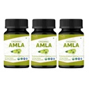 Amla 120 Tablet - USDA Organik India Gooseberry - Rich in Vitamin C & Supports Ammune Health * - Pack of 3