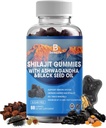 Gumi Shilajit, Shilajit, Resin, dengan 85 + Trace Mineteral, Fulvic Acid, Phytonutrients, Vitamin C, D, B12, Ashwagandha, Chaga Mushroom, Turmeric, for Energy, Ammune Dupport