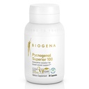 Biogena Pycnogenol 100 mg Gold dengan Premium Patenting French Maritime Park Extract (Pinus Pinaster) untuk Mendukung Sirkuit Darah