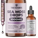 TrueSeasons Irish Moss Drops - 5X Stronger Than Sea Moss Gel - 92 + Mineral Esensial dengan Black Elderberry, Burdock Root & Cumin - 2 Fl Oz (60ml) - Elderberry Flavor
