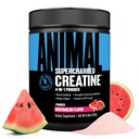 Hewan Supercharged Creatine Powder - Flavored Creatine Monohydrate Enhanced with Betaine Anhydrous, PurpleForce & Senactiv, Energy, Endurance, Muscle Recovery for Men and Women - Watermelon, 300g