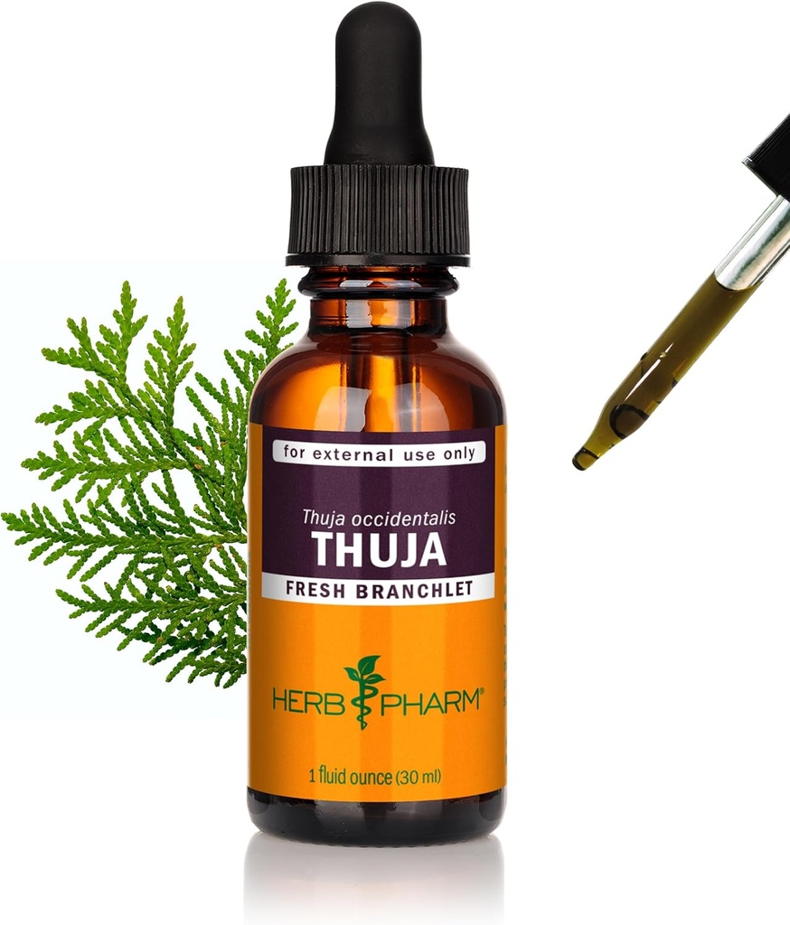 Herb Pharm Thuja Branchlet Ekstrak Liquid - 1 Ounce (DTHUJA01)