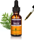 Herb Pharm Thuja Branchlet Ekstrak Liquid - 1 Ounce (DTHUJA01)