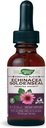 Alam Jalan Premium Formula Echinace- Goldenseal, 250 mg per melayani, 99,9% Alcohol- Bebas, 1.01 Oz.
