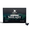 Chuga Pure Himalaya Shilajit Tablet untuk Pria & Perempuan; Organ Shilajit Dipekerjakan 16.000 Feet 124; Lab Test in USA, 75 + Fulvic Acid, Kelas A, Immune Booster, Shilajit Tablet, 60 hamba (1)