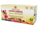 Teh YGLEYS Garcinia Camigia Green Tea dengan Alset Flavors - 42 Tea Bags