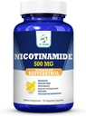 Nicotinamide 500mg Enhanced w. Resveratrol 100mg 120 Veggie Capsules Up to 4 Months Suppply Vitamin B3 w. Antioksidant All Natural Dietary Supplication Cellular Health Energy & Aging Gracely