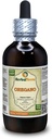 Oregano (Origanum Vulgare) Tincture, Organik Dryed Leaves Liquid Extract (Nama Merek: HerbalTerra, Proughtly Made in USA) 4 fl.oz (120 ml)